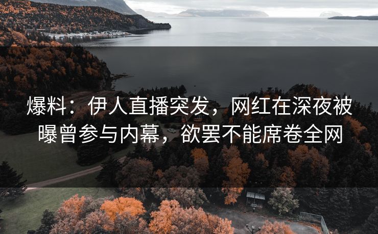 爆料：伊人直播突发，网红在深夜被曝曾参与内幕，欲罢不能席卷全网