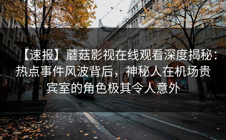 【速报】蘑菇影视在线观看深度揭秘：热点事件风波背后，神秘人在机场贵宾室的角色极其令人意外