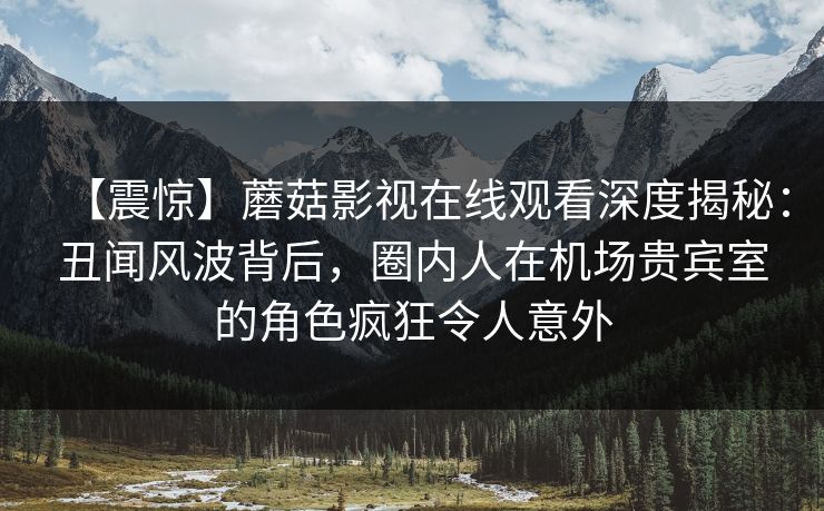 【震惊】蘑菇影视在线观看深度揭秘：丑闻风波背后，圈内人在机场贵宾室的角色疯狂令人意外