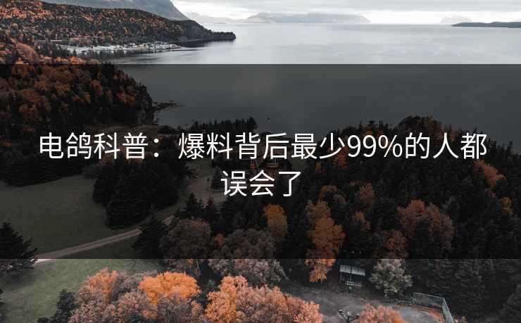电鸽科普：爆料背后最少99%的人都误会了