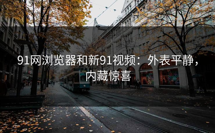 91网浏览器和新91视频：外表平静，内藏惊喜